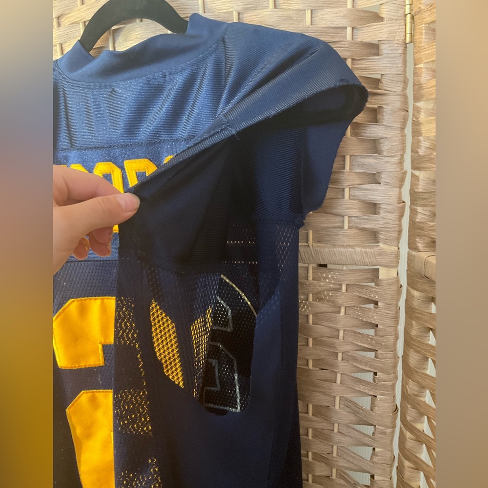 Charles Woodson Green Bay Packers Jersey - Picture 7 of 8